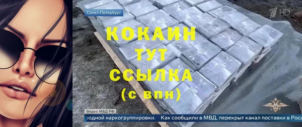 СК Алексин