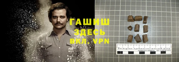СК Алексин